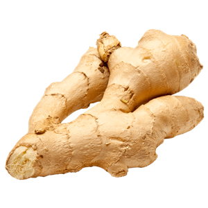 Ginger PNG-16807